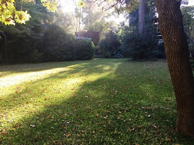 B° FINCAS DEL LAGO 2