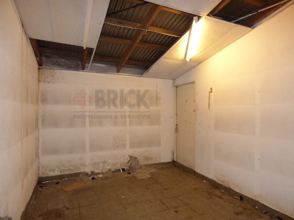 GURRUCHAGA al 1600 24