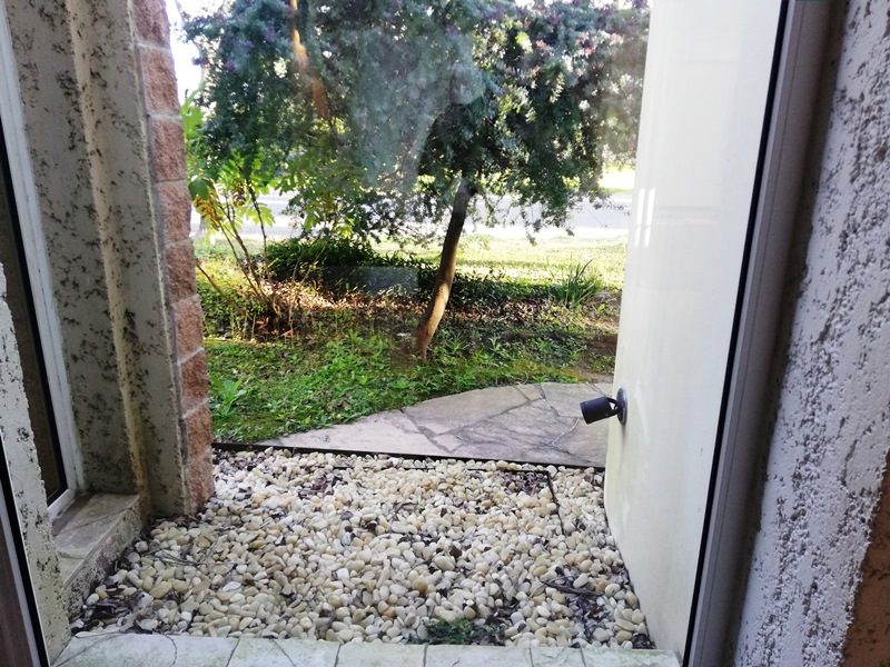 SANTA MARIA DE TIGRE 7