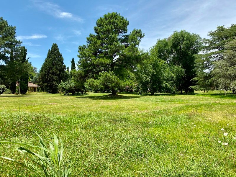 EL JAGÜEL COUNTRY CLUB Lote 137 18