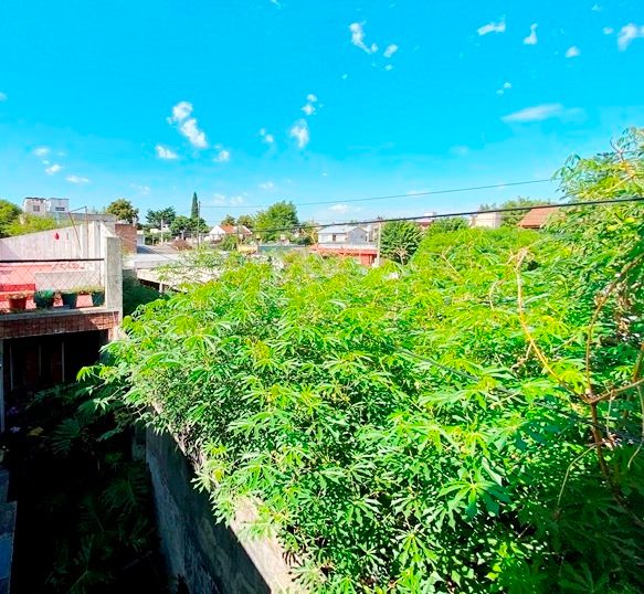 LAUREANA FERRARI al 70 14