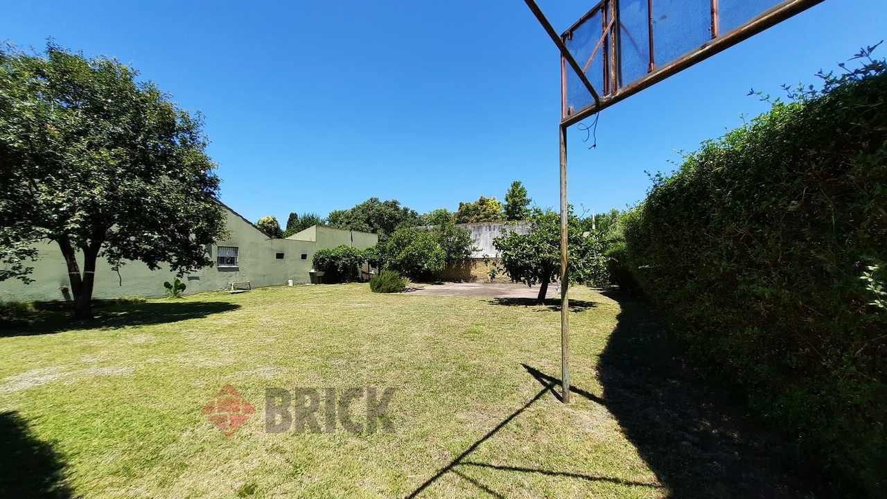 ARAUJO, MANUEL al 0 3