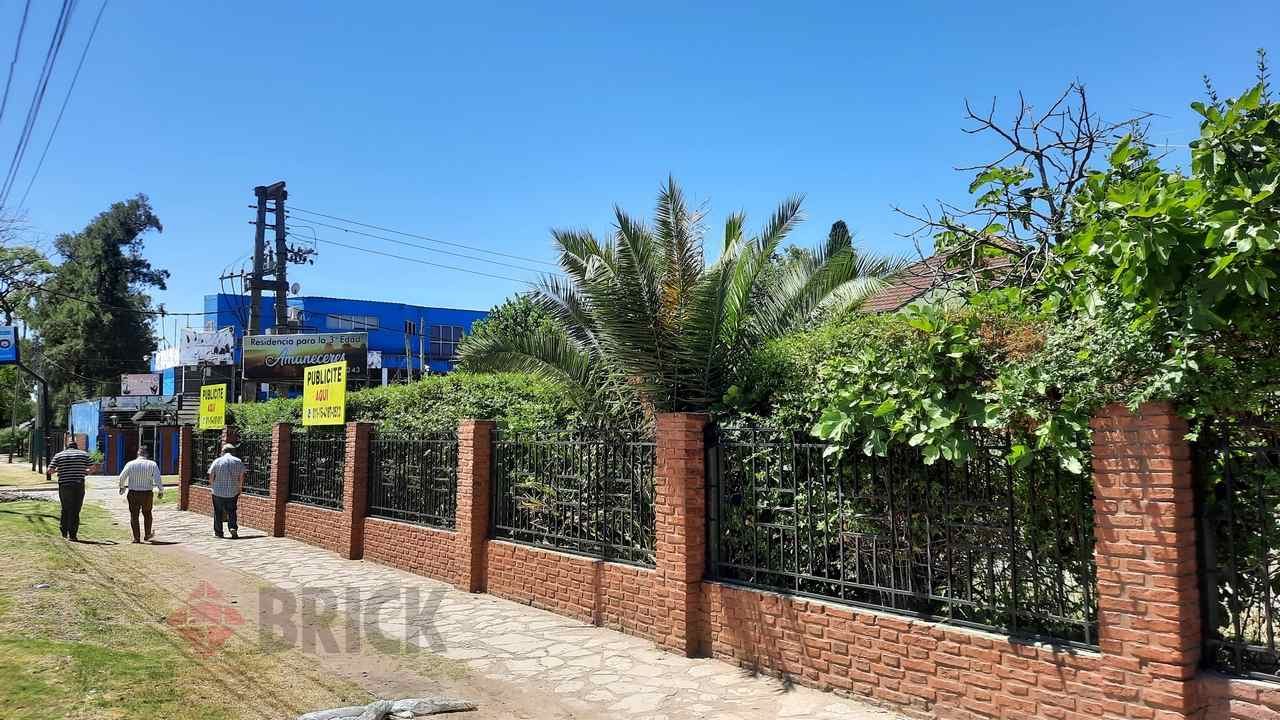 ARAUJO, MANUEL al 0 11