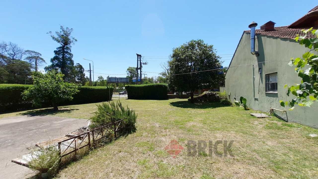 ARAUJO, MANUEL al 0 6