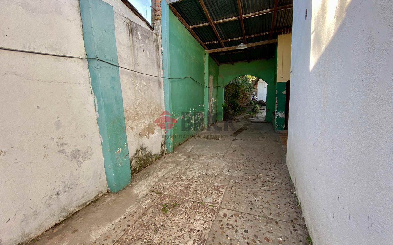 MIGUEL DE UNAMUNO al 3600 17