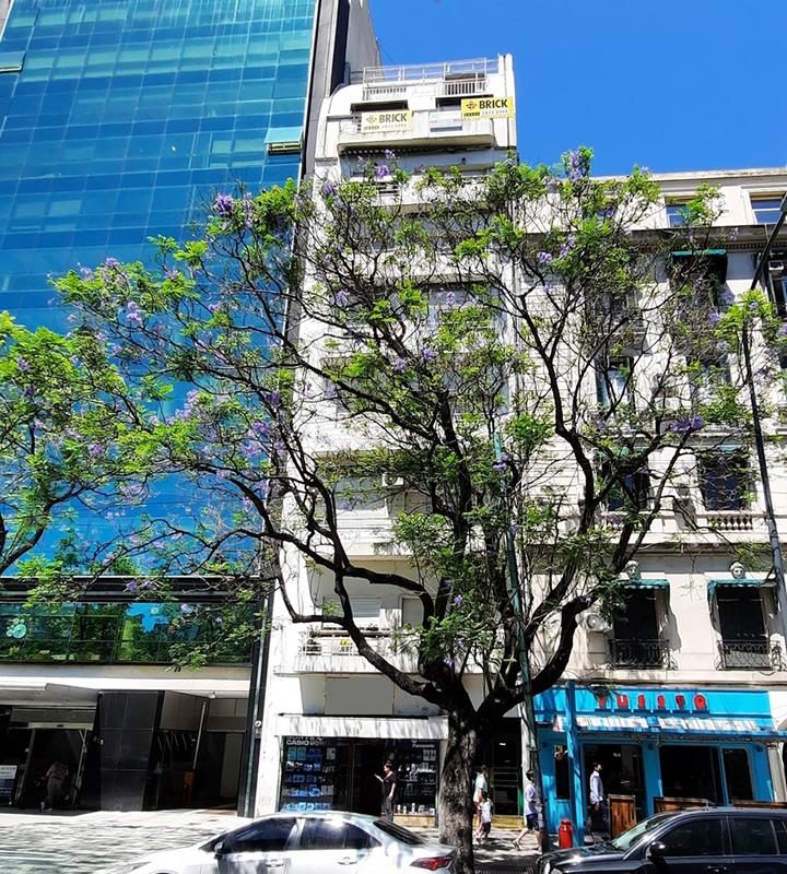 PELLEGRINI, CARLOS al 800 Piso 7 29