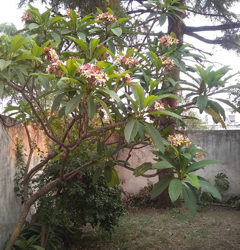 DIRECTORIO, AV. al 2700 Piso 1 16