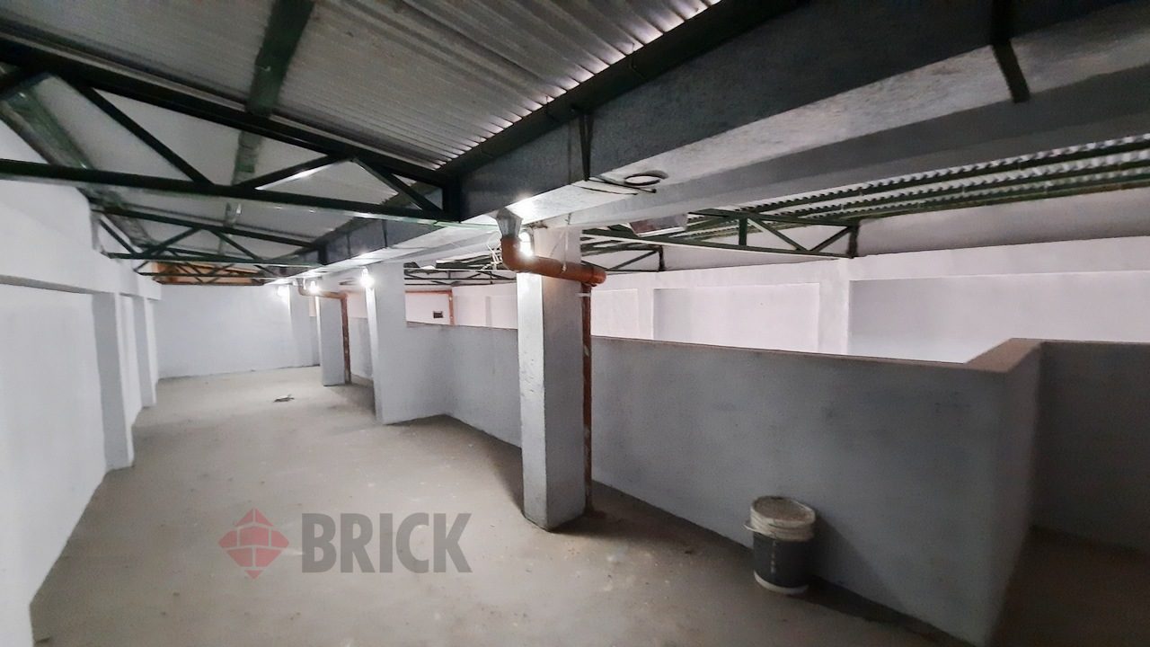 GORDILLO, TIMOTEO al 4200 8