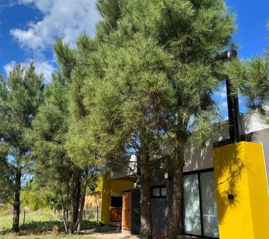 LAS GAVIOTAS (CALLE 30) 4