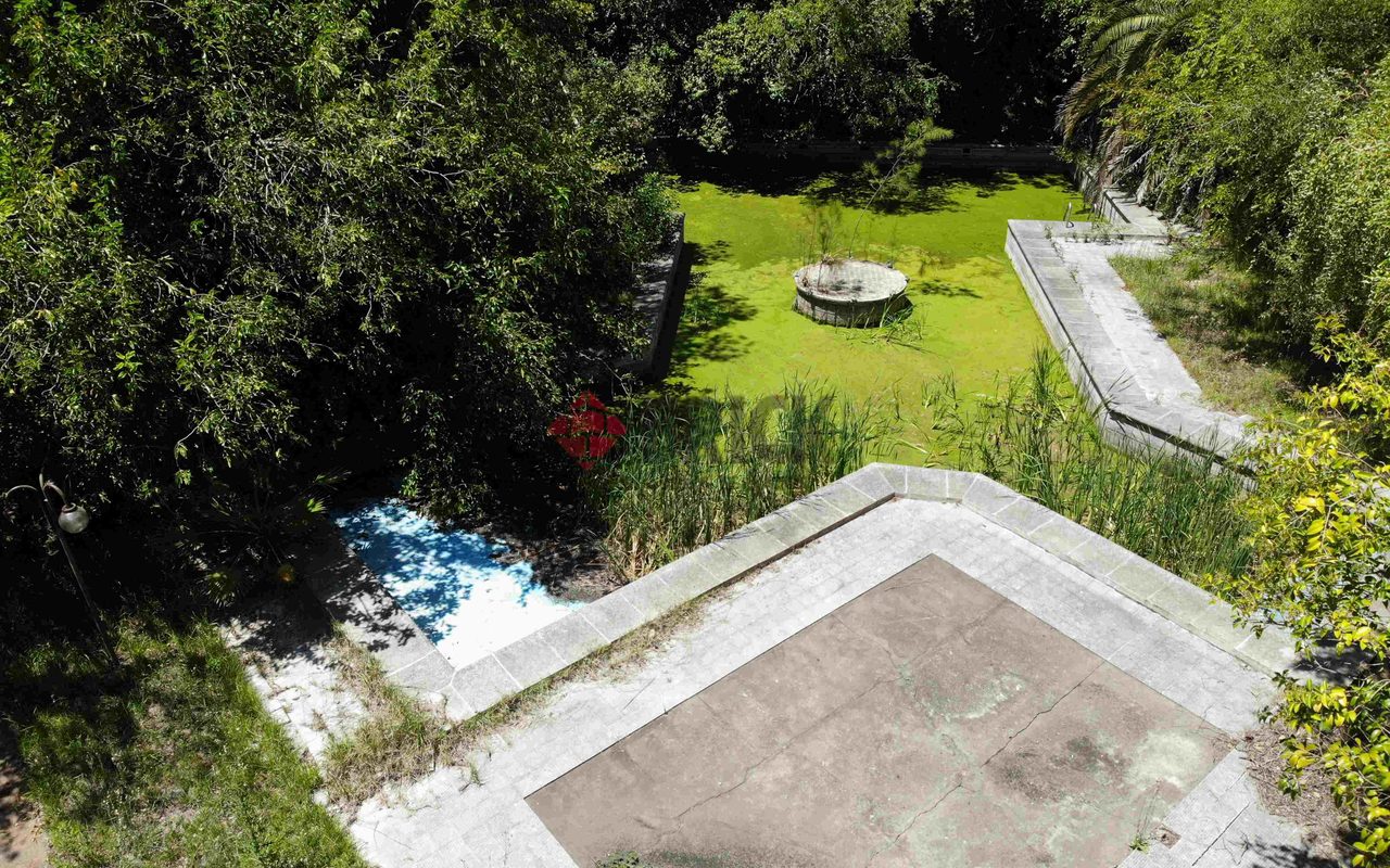 FRAY LUIS BELTRAN al 800 4