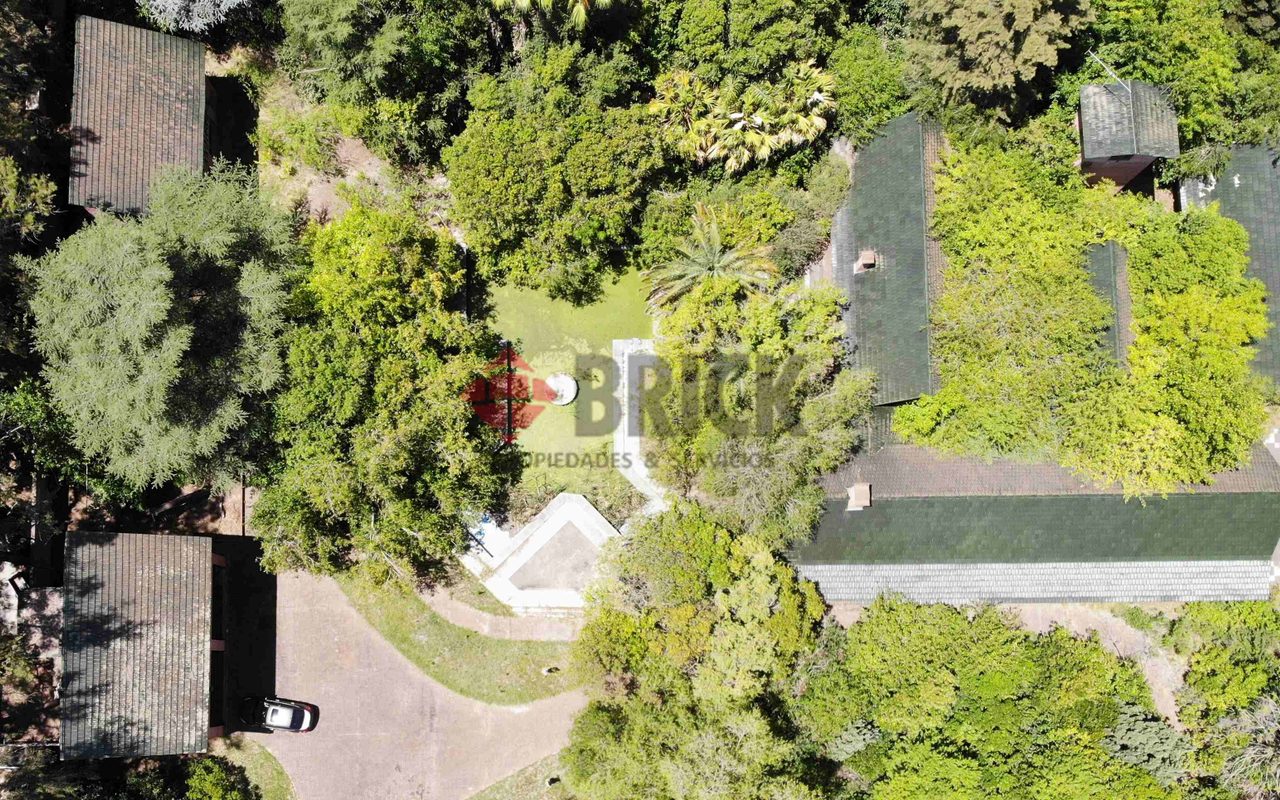 FRAY LUIS BELTRAN al 800 6