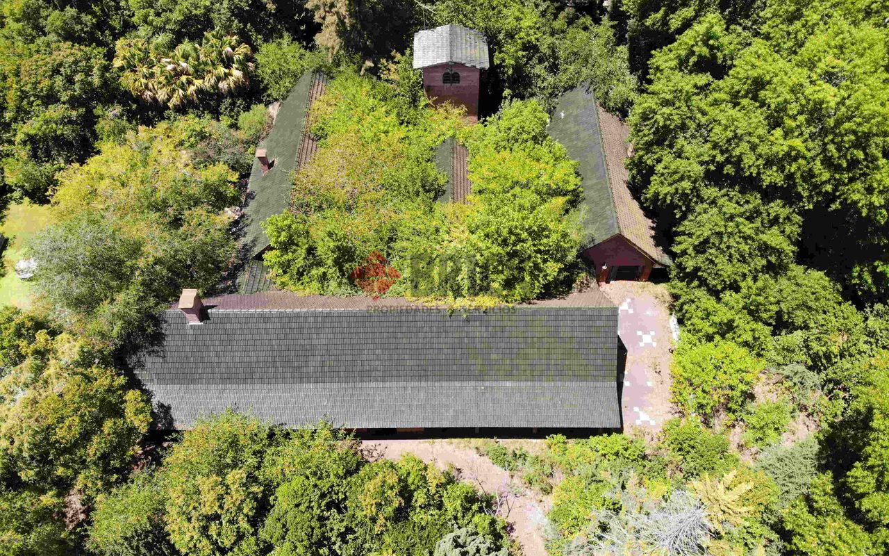 FRAY LUIS BELTRAN al 800 3