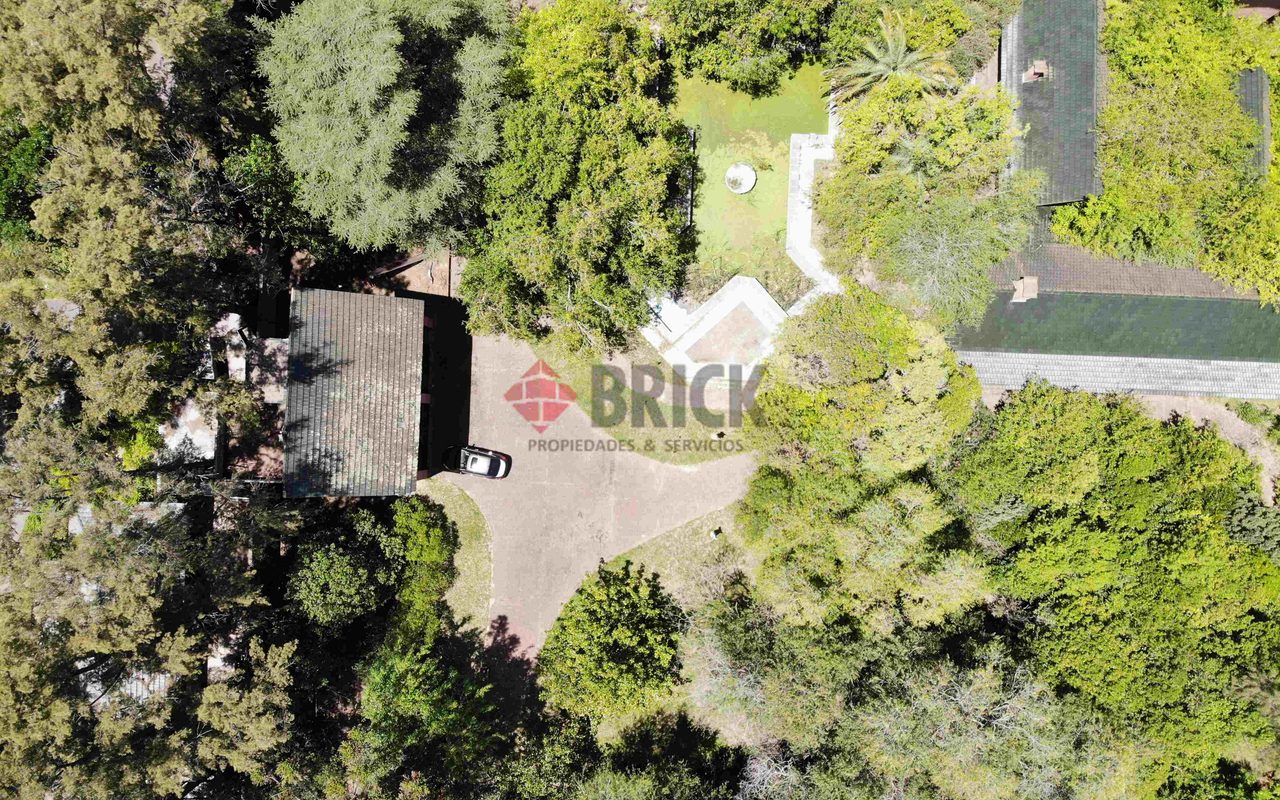 FRAY LUIS BELTRAN al 800 5