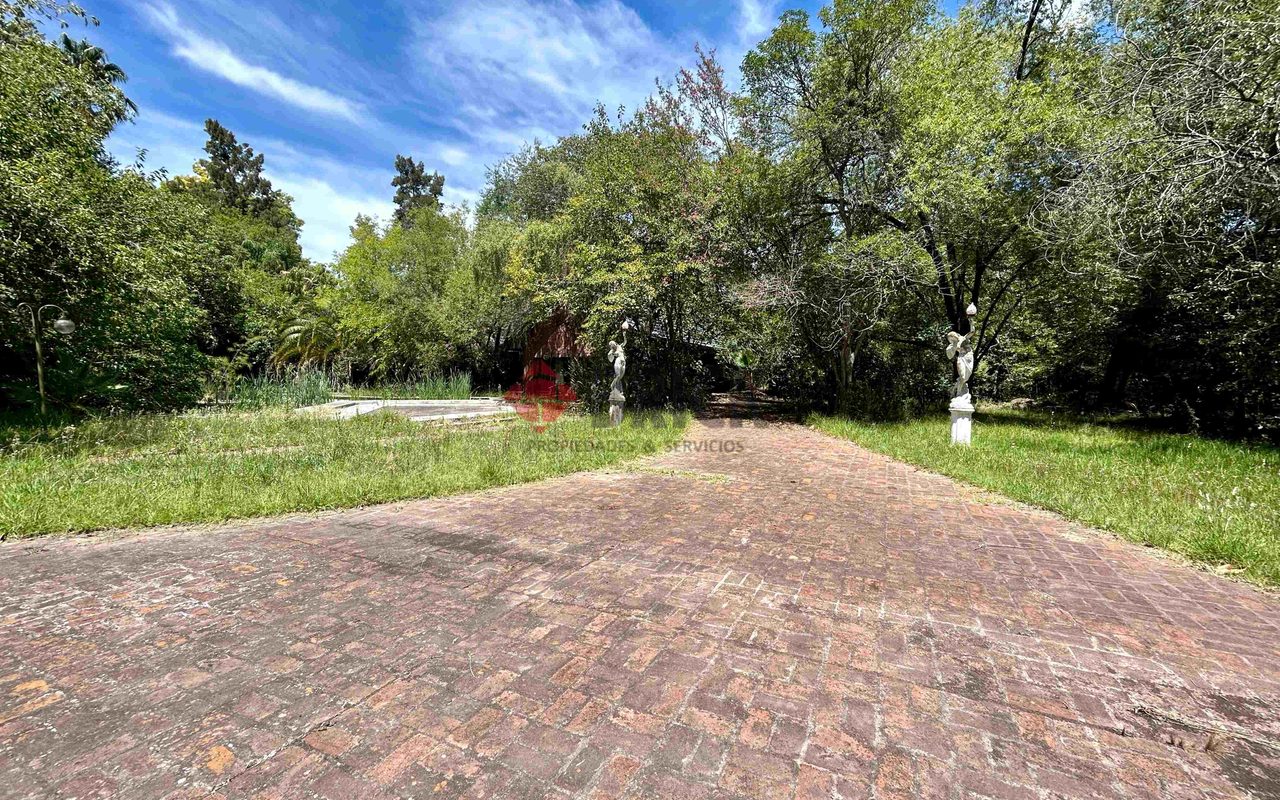 FRAY LUIS BELTRAN al 800 8