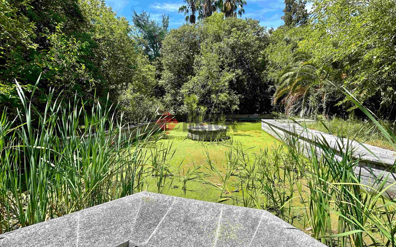 FRAY LUIS BELTRAN al 800 9