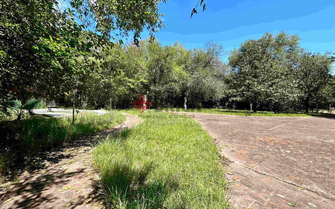 FRAY LUIS BELTRAN al 800 12