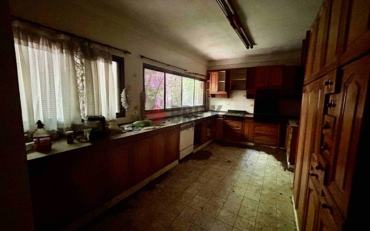 FRAY LUIS BELTRAN al 800 19