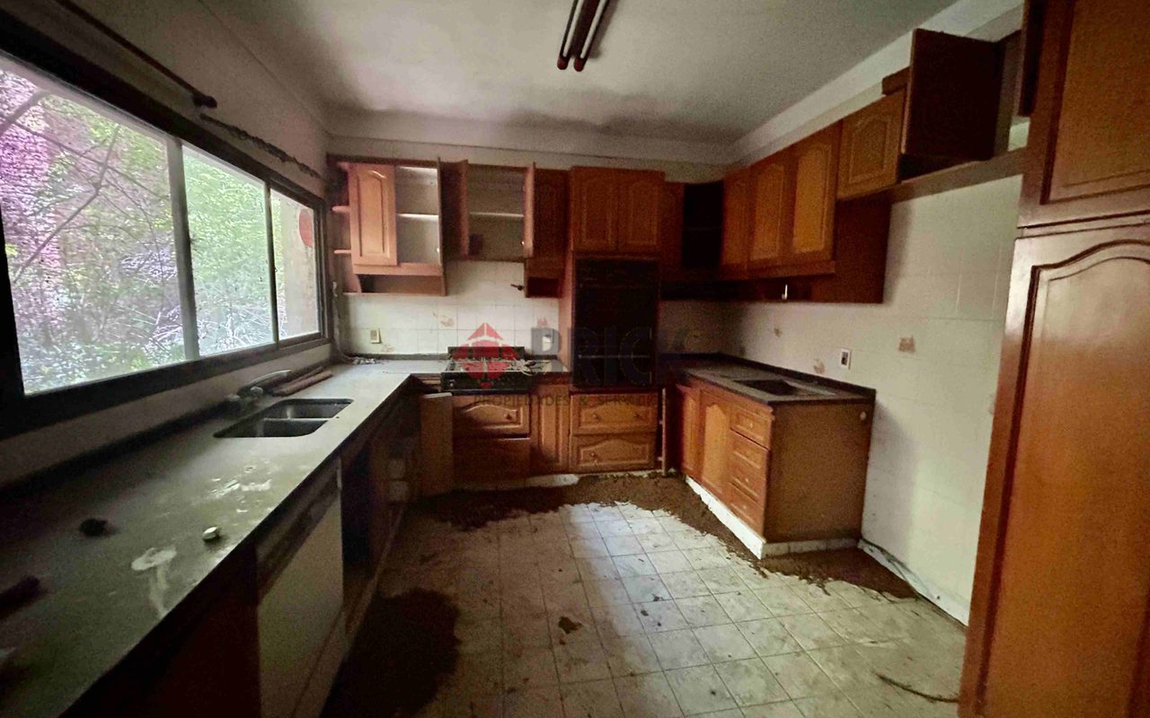 FRAY LUIS BELTRAN al 800 18