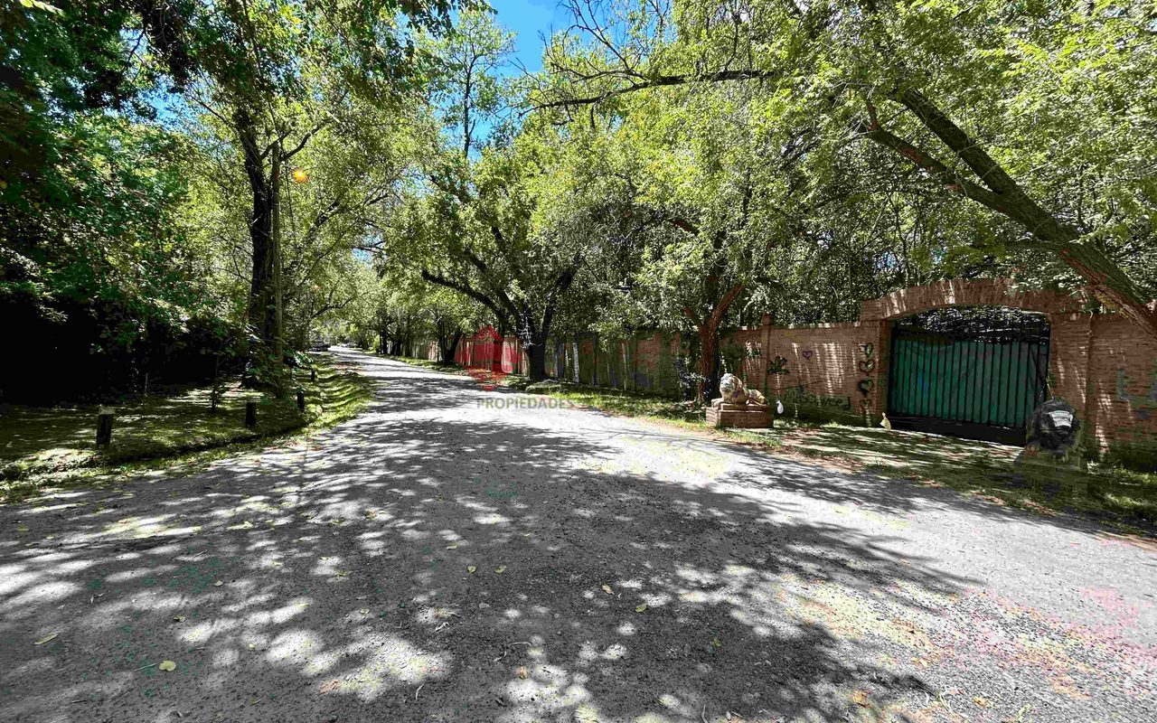 FRAY LUIS BELTRAN al 800 25