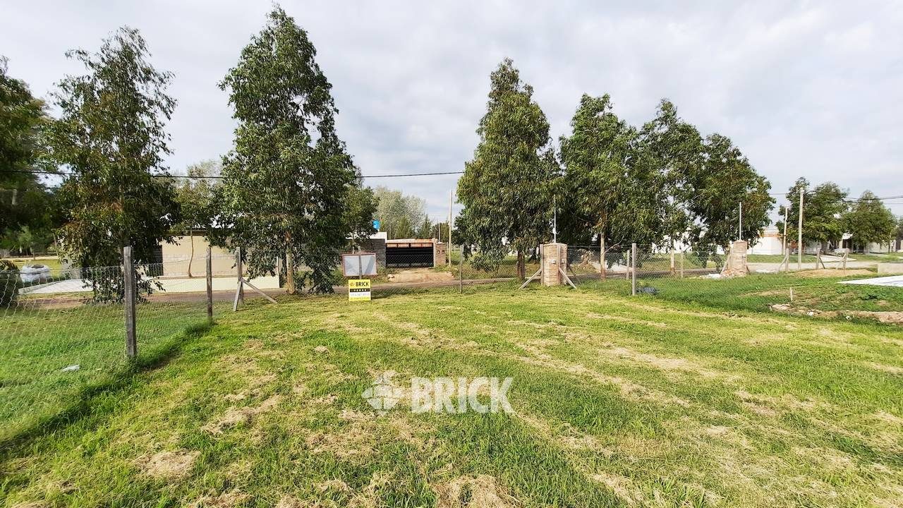 CHULUPIES (EX DIAGUITAS) Lote 6 2