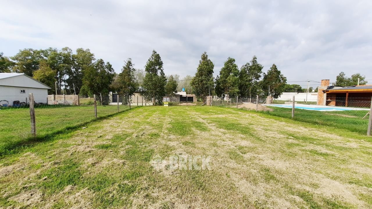 CHULUPIES (EX DIAGUITAS) Lote 6 3