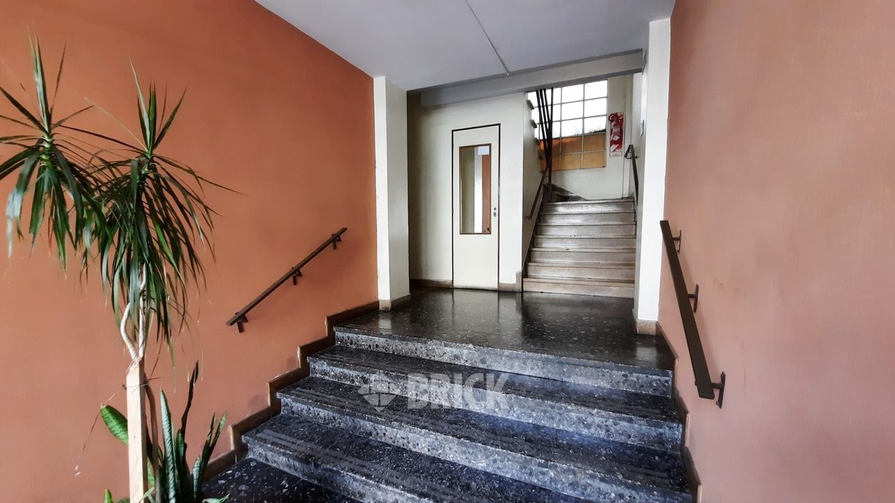 ZAPIOLA al 1000 Piso 2 16