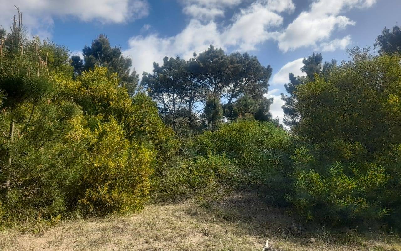 CALLE 27 (AV. ALMTE. BROWN) Lote 4 Y 5 5