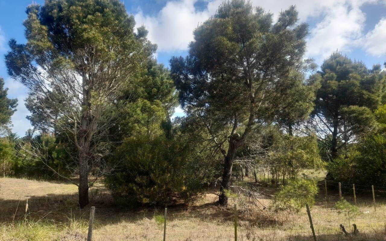 CALLE 27 (AV. ALMTE. BROWN) Lote 4 Y 5 6