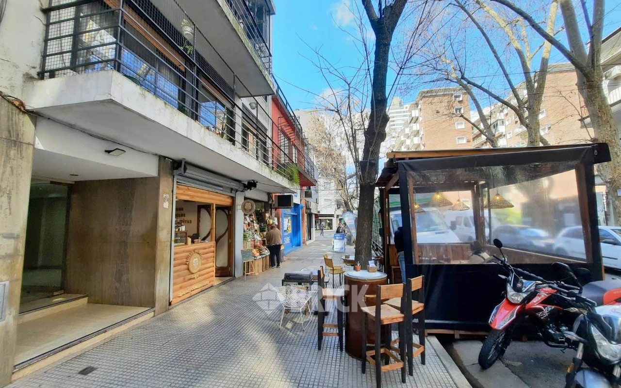 SOLDADO DE LA INDEPENDENCIA al 700 Piso PB 33