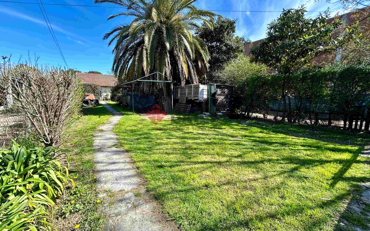 LAS TUNAS al 4800 14