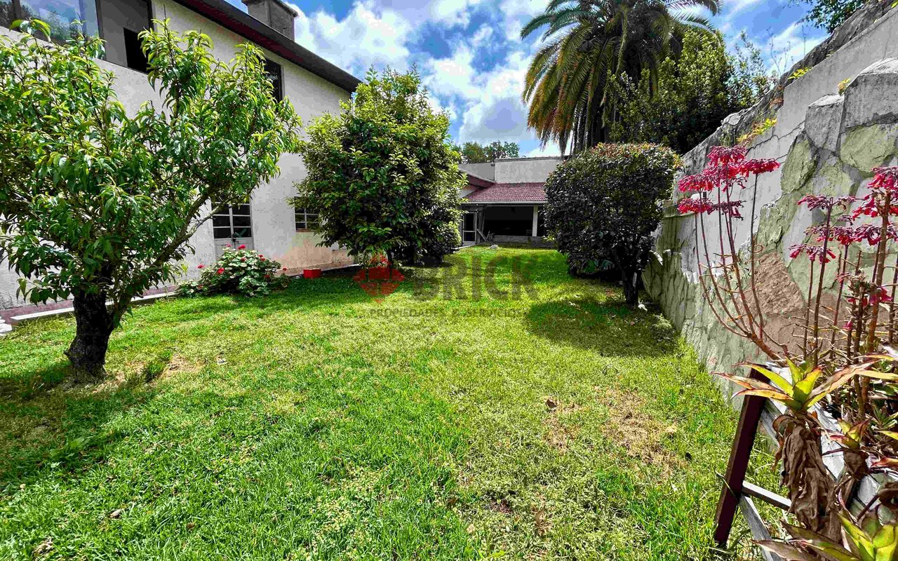 BUENOS AIRES al 5400 26