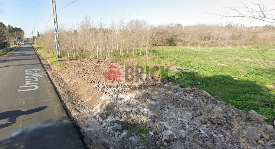 LAGUNA DEL MONTE al 100 4