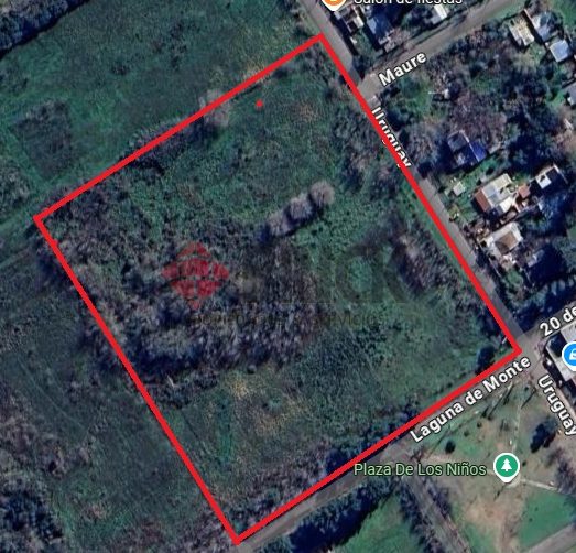 LAGUNA DEL MONTE al 100 1