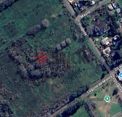 LAGUNA DEL MONTE al 100 6