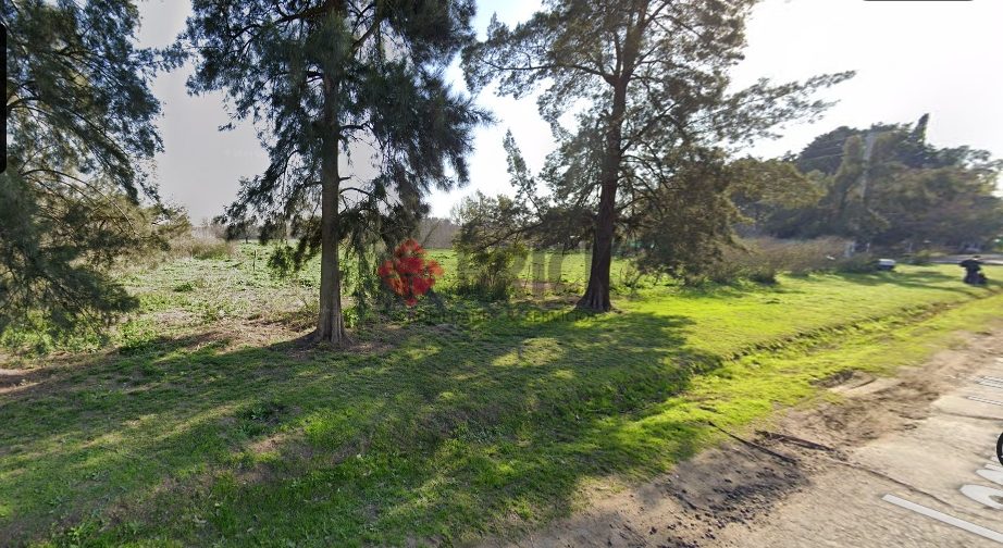 LAGUNA DEL MONTE al 100 7