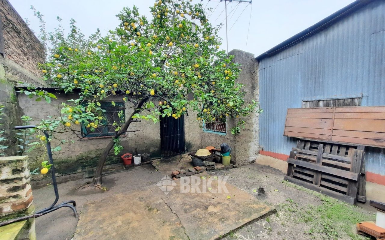 PLAUL, SANTIAGO al 3200 26