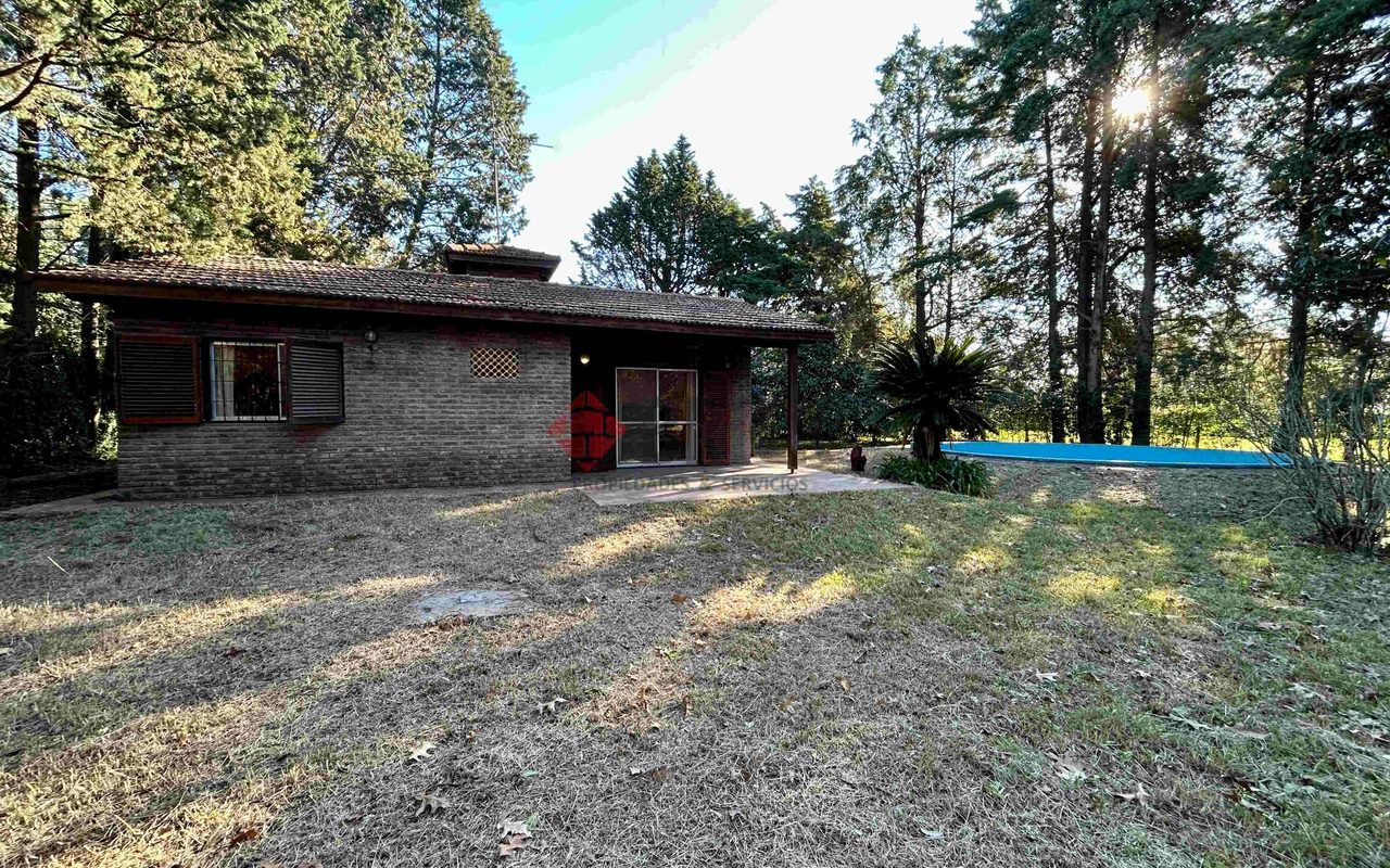 LA GOLONDRINA Y LA PATRIA 1