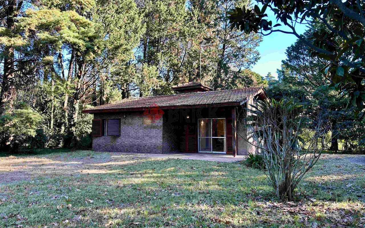 LA GOLONDRINA Y LA PATRIA 2