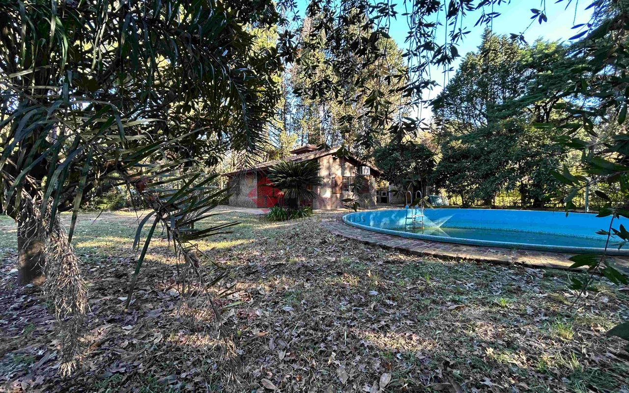 LA GOLONDRINA Y LA PATRIA 3