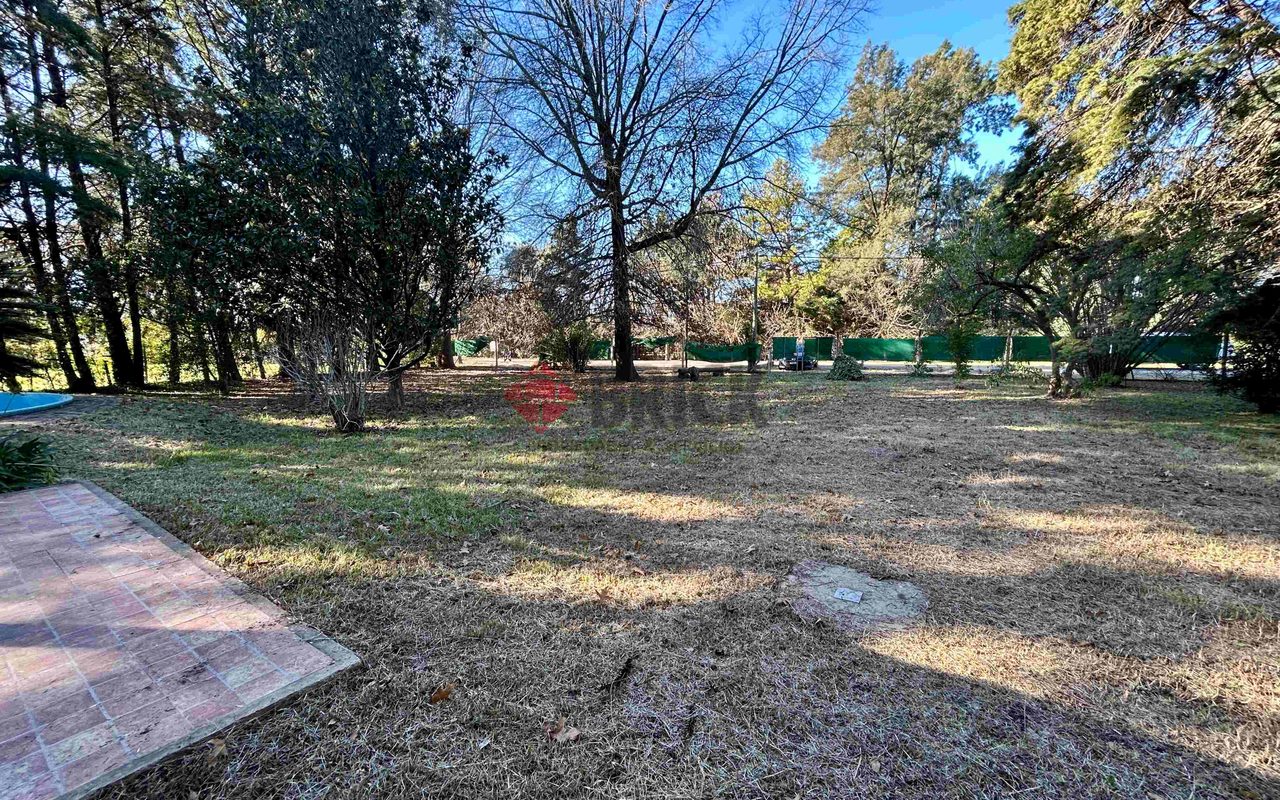 LA GOLONDRINA Y LA PATRIA 14