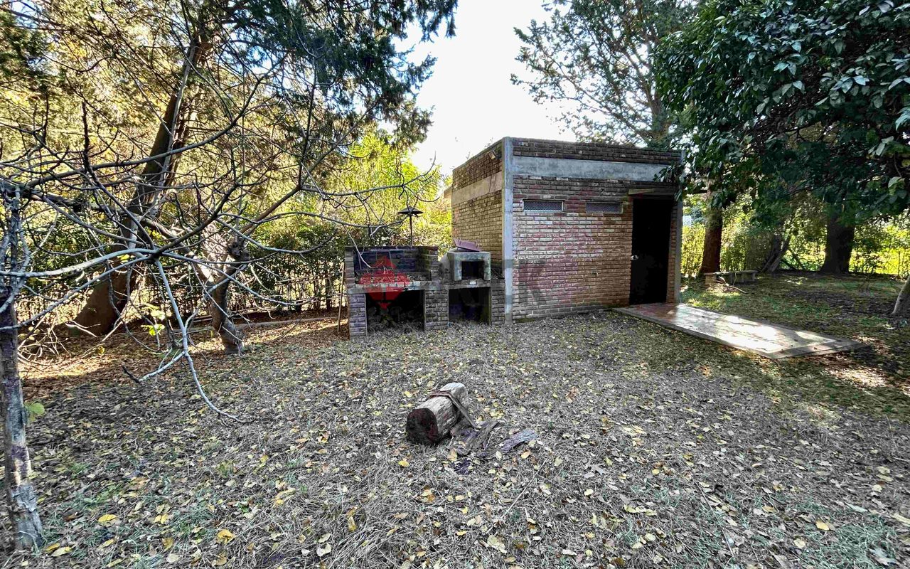 LA GOLONDRINA Y LA PATRIA 12