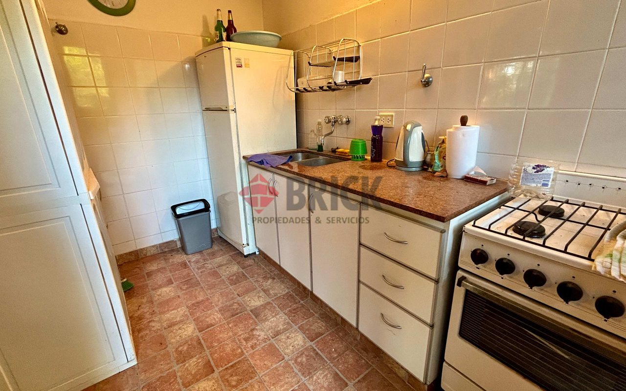 LA GOLONDRINA Y LA PATRIA 6