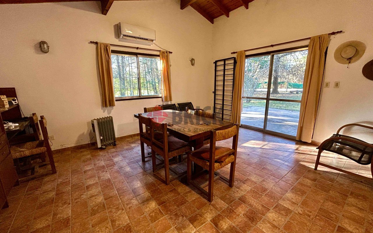 LA GOLONDRINA Y LA PATRIA 4