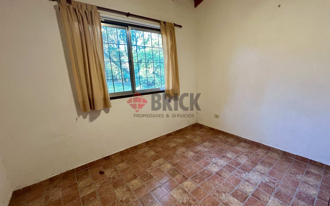 LA GOLONDRINA Y LA PATRIA 7