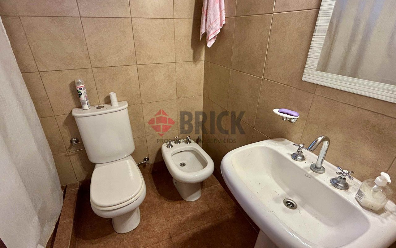 LA GOLONDRINA Y LA PATRIA 11