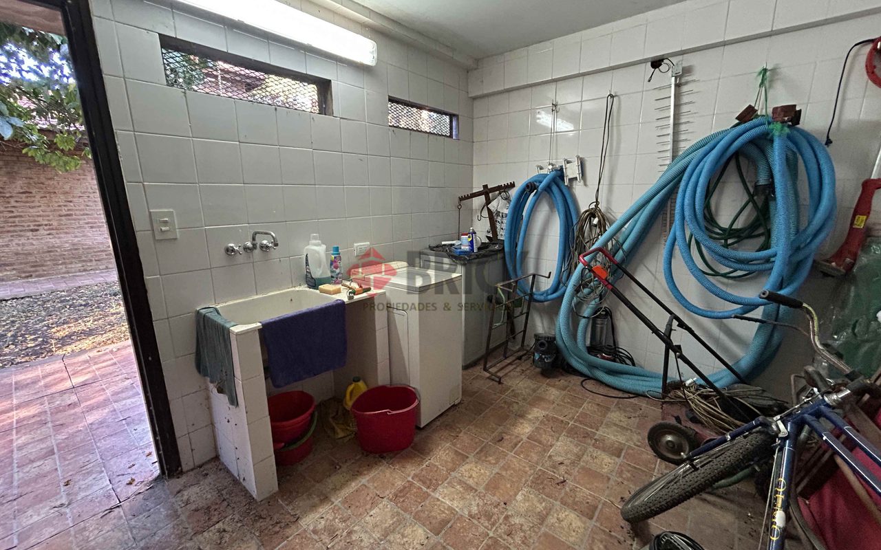 LA GOLONDRINA Y LA PATRIA 13