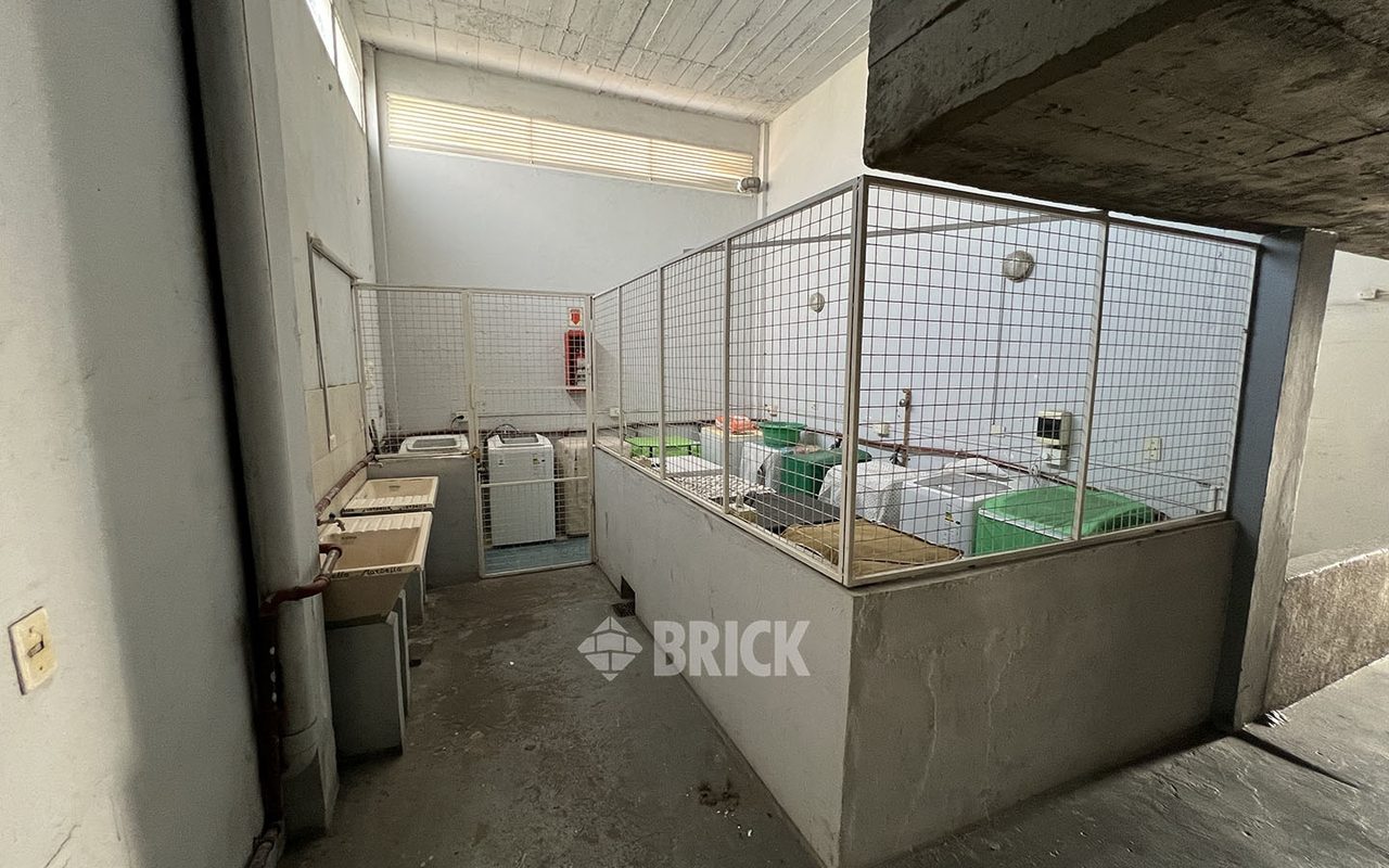 CALVO, CARLOS al 2100 Piso 14 13