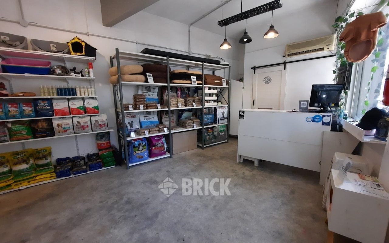 BRAVO, MARIO al 800 3