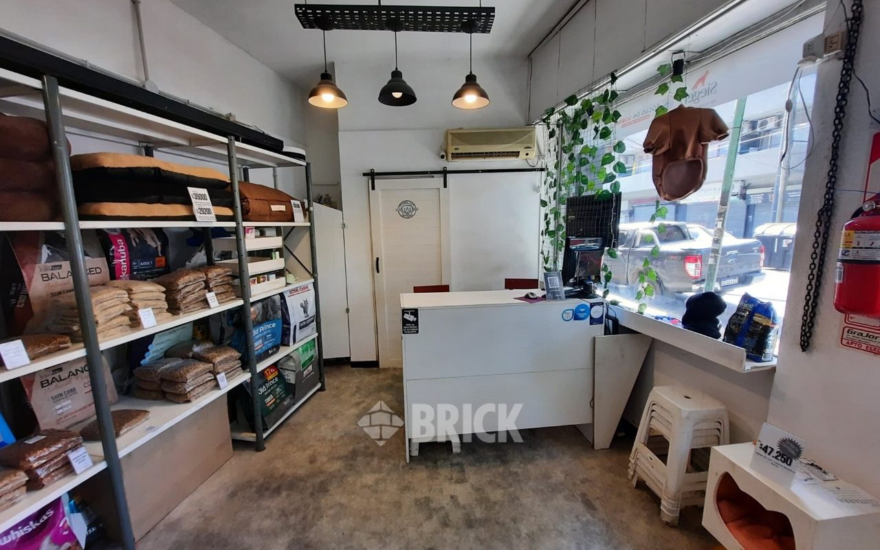 BRAVO, MARIO al 800 4