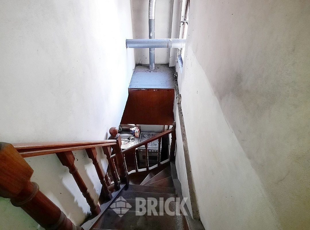 HUMBERTO 1° al 3000 17